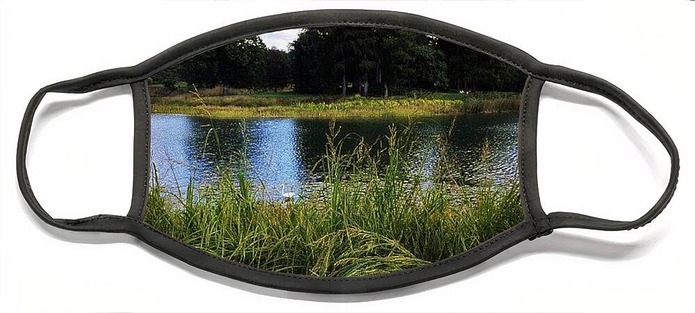 Egret Face Mask featuring the photograph Can You Spot The Egret by Nick Heap