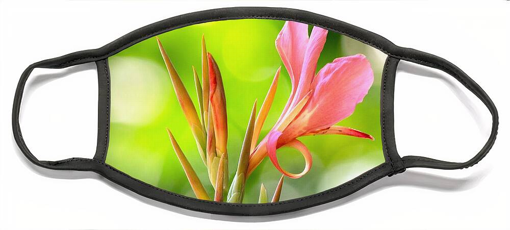 Canna Lily Face Mask featuring the photograph Canna Lily by Mary Ann Artz