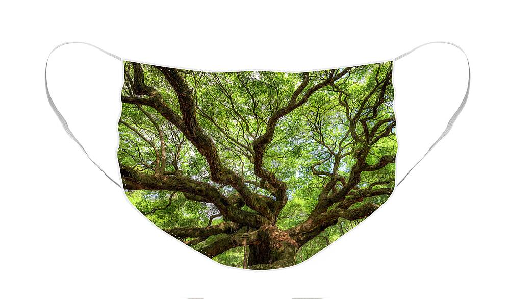 Angel Oak Tree Face Mask featuring the photograph Canopy Of Color at Angel Oak Tree by Michael Ver Sprill