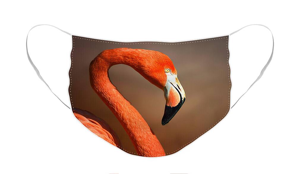 Caribbean Flamingo Face Masks