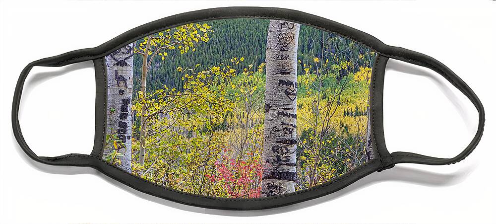 Carved Face Mask featuring the photograph Carved Names and Initials in Autumn Aspen Trees by James BO Insogna