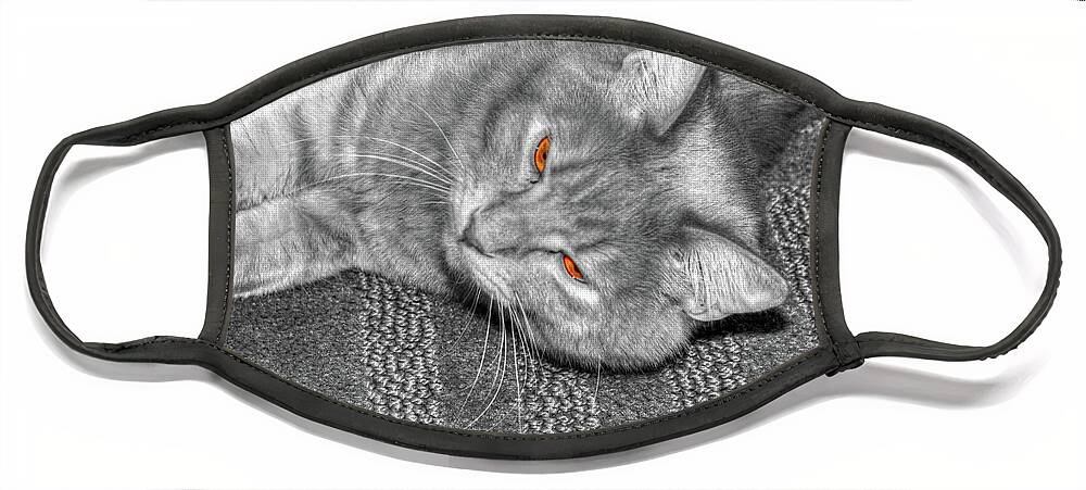 Hdr Face Mask featuring the photograph Cat Kickin' back by Randy Wehner