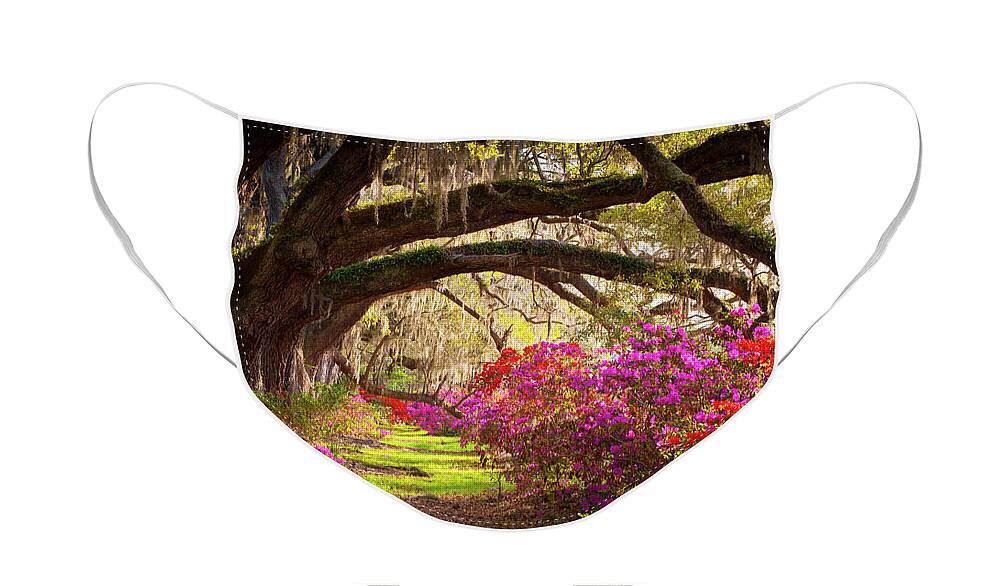 South Face Mask featuring the photograph Charleston SC Magnolia Plantation Gardens - Memory Lane by Dave Allen