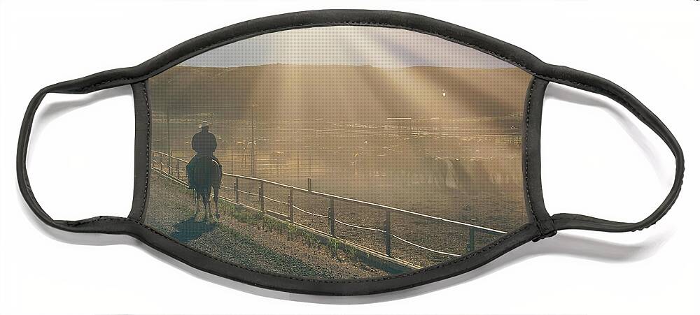 Sunset Face Mask featuring the photograph Checking the Lot at Sunset by Amanda Smith