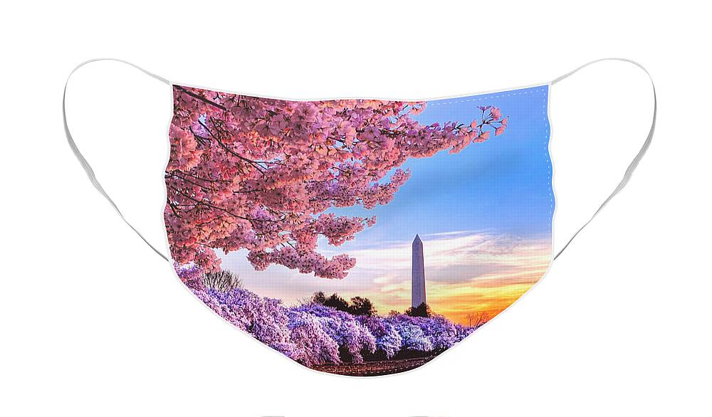Washington Face Mask featuring the photograph Cherry Blossom Festival by Olivier Le Queinec