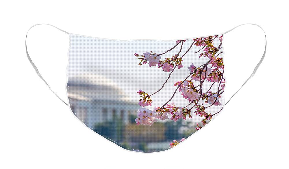 Cherry Blossom Festival Face Mask featuring the photograph Cherry Blossoms and Jefferson Memorial by SR Green