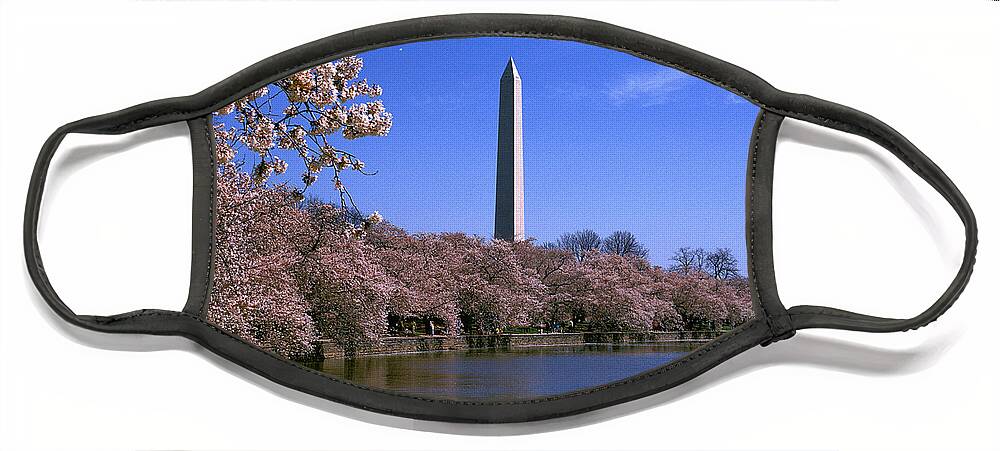 Scenic Face Mask featuring the photograph Cherry Blossoms on the Tidal Basin 15J by Gerry Gantt