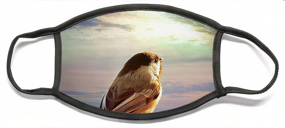 Chickadee Print Face Mask featuring the photograph Chickadee Sunrise by Gwen Gibson