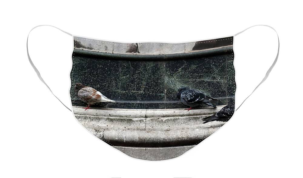 Pidgeon Face Mask featuring the photograph Chilly Day Duomo by Laura Davis