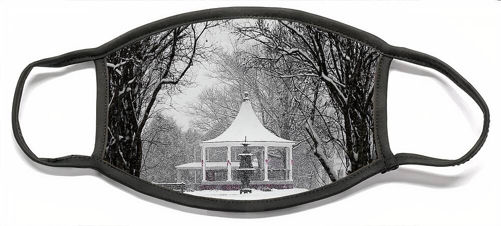 Vermont Face Mask featuring the photograph Christmas Season in the Park by Tim Kirchoff