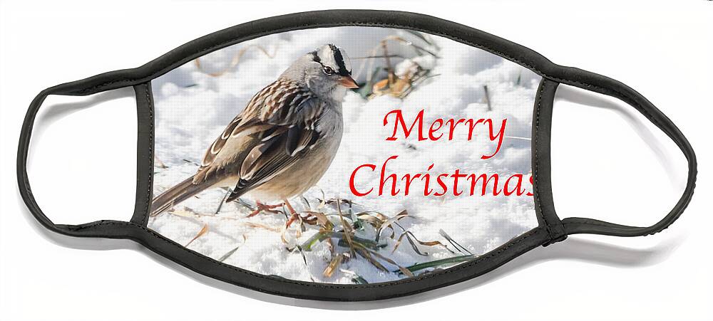 White-crowned Sparrow Face Mask featuring the photograph Christmas Sparrow by Holden The Moment