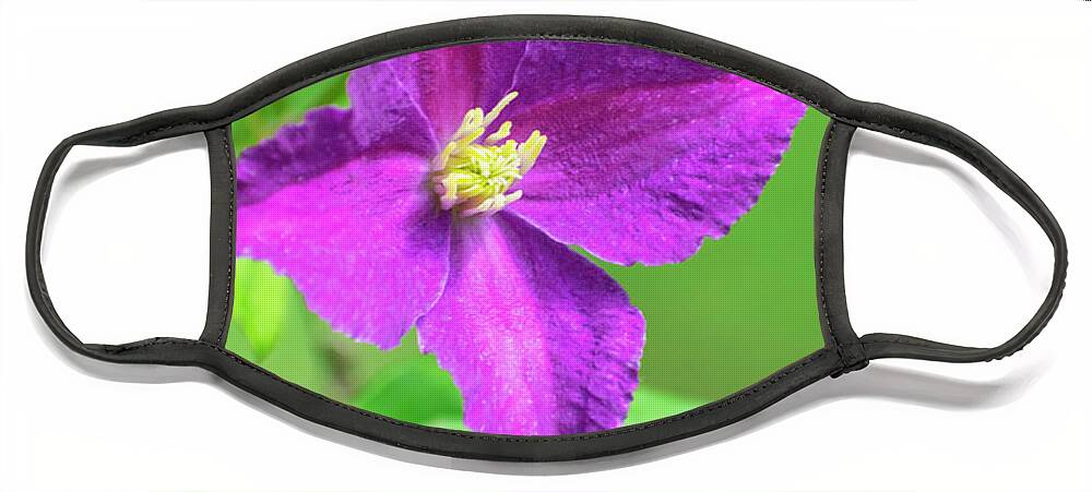 Clematis Face Mask featuring the photograph Clematis Flower by Christina Rollo