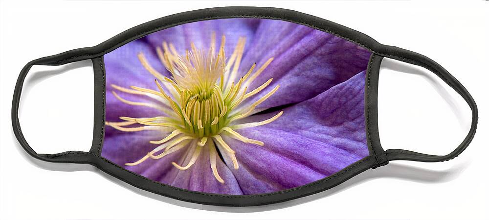 Nature Face Mask featuring the photograph Clematis by Julia Hiebaum