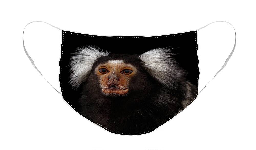 Marmoset Face Mask featuring the photograph portrait of Common Marmoset by Sergey Taran