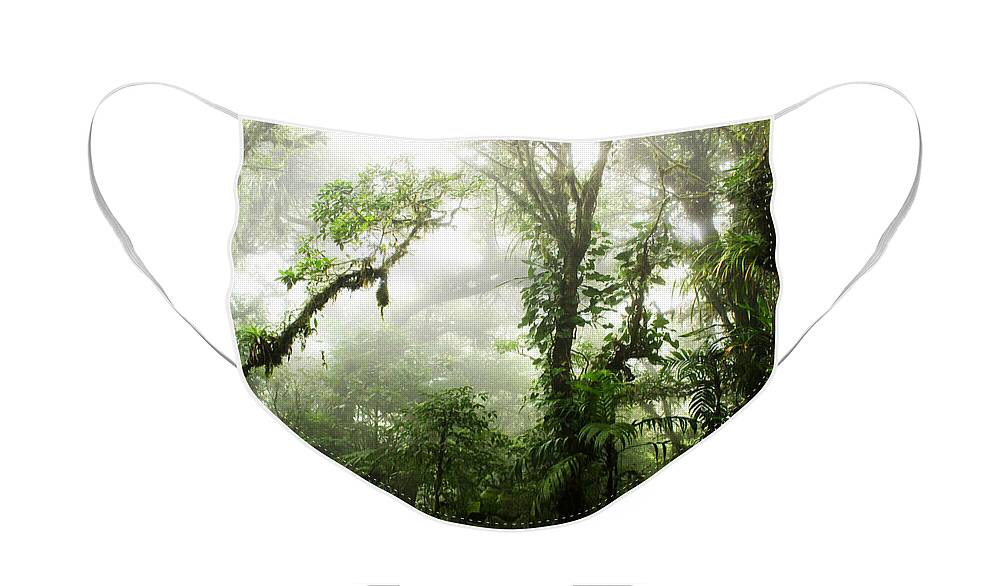 Forest Face Mask featuring the photograph Cloud Forest by Nicklas Gustafsson