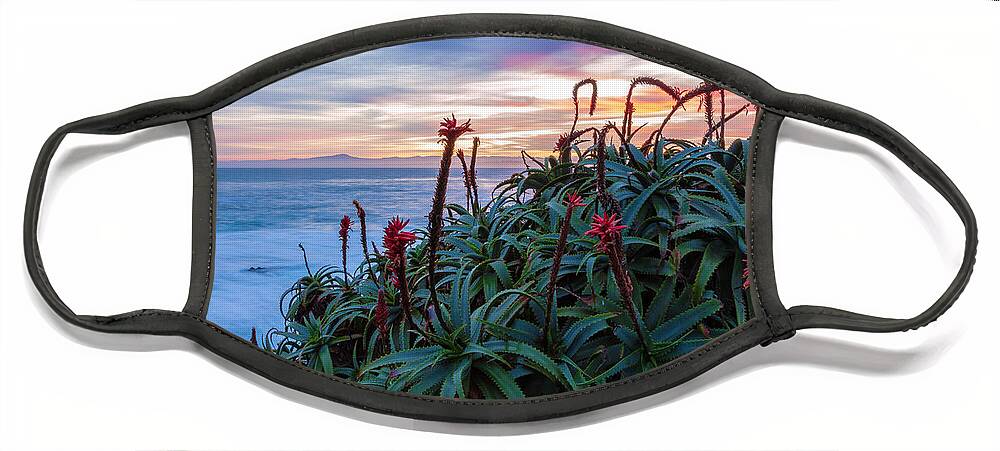 Landscape Face Mask featuring the photograph Coastal Aloes by Jonathan Nguyen