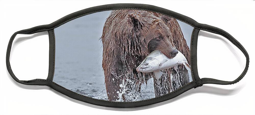 Coastal Face Mask featuring the photograph Coastal Brown Bear with Salmon by Gary Langley