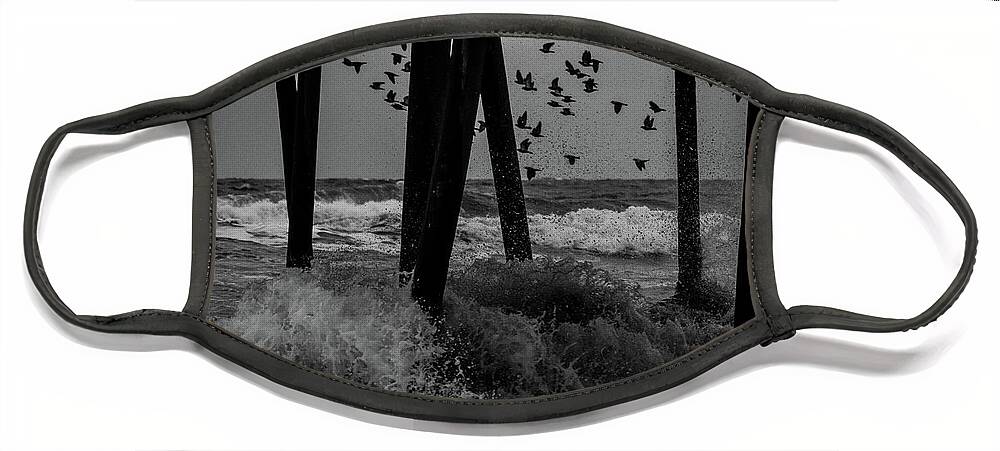 Bird Face Mask featuring the photograph Coastal Movements by Nicole Lloyd