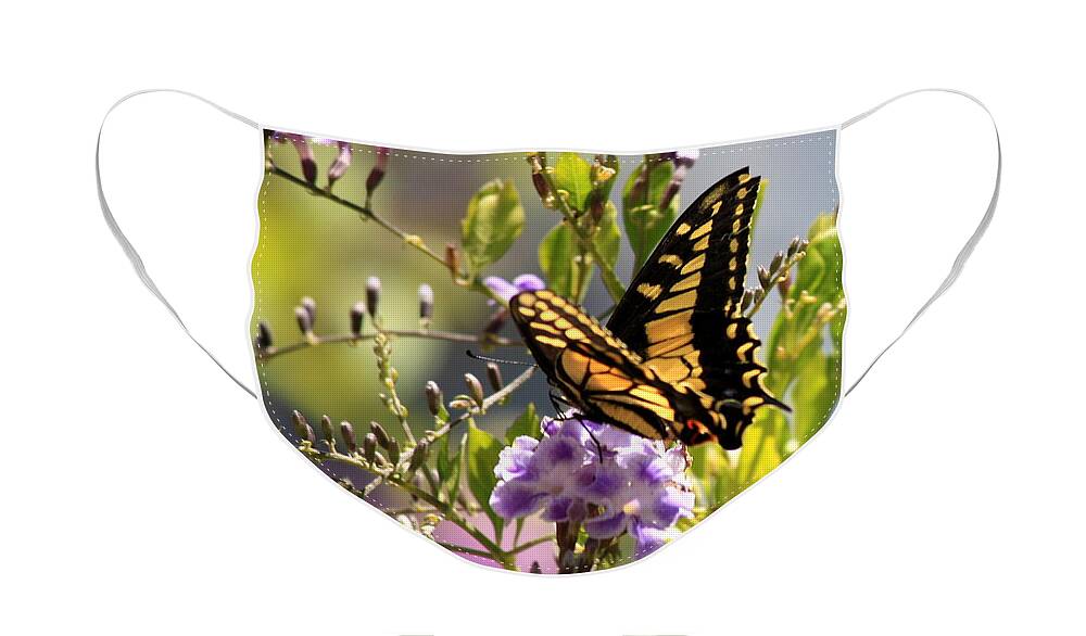 Butterfly Face Mask featuring the photograph Colorful Butterfly by Carol Groenen
