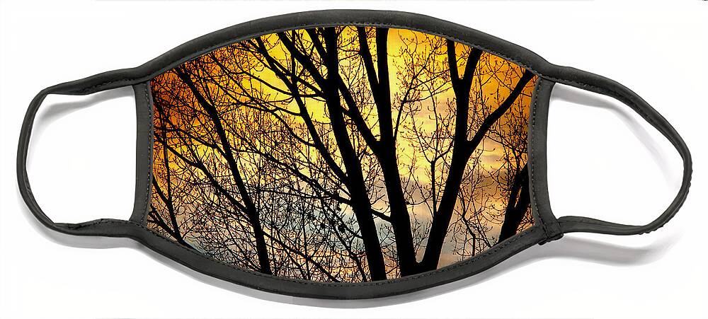Sunsets Face Mask featuring the photograph Colorful Sunset Silhouette by James BO Insogna