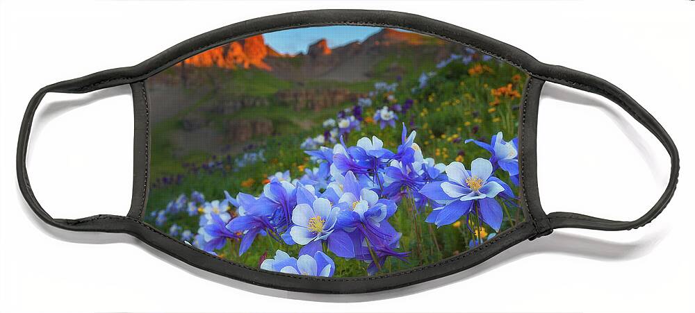 Colorado Face Mask featuring the photograph Columbine Sunrise by Darren White