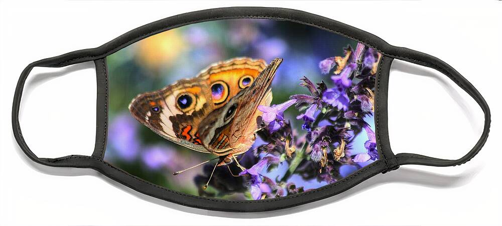 Common Buckeye Butterfly Face Mask featuring the photograph Common Buckeye Butterfly II by Carol Montoya