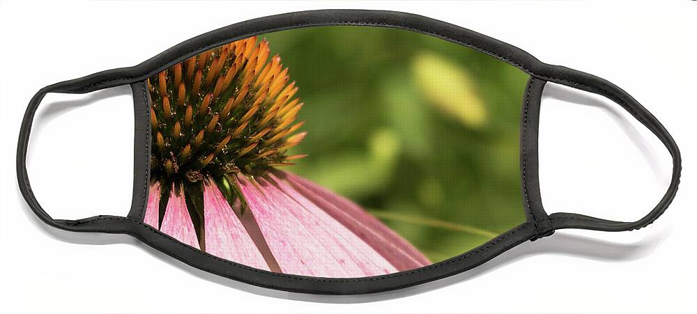 Wildflower Face Mask featuring the photograph Coneflower by Holly Ross