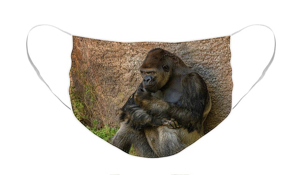 Gorilla Face Mask featuring the photograph Contemplation by Michael McKenney