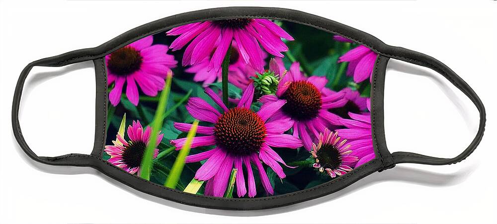  Face Mask featuring the photograph Crazy for Coneflowers by Kendall McKernon