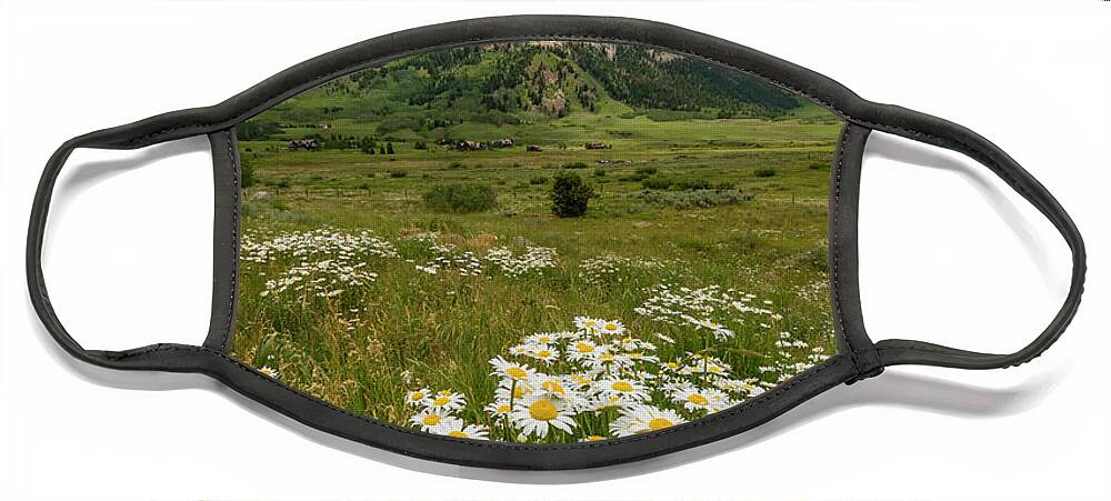 Crested Butte Face Mask featuring the photograph Crested Butte Wildflowers by Ronda Kimbrow