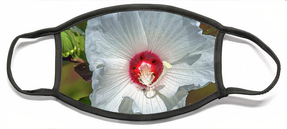 Marsh Face Mask featuring the photograph Crimson-eyed Rosemallow DSMF0321 by Gerry Gantt