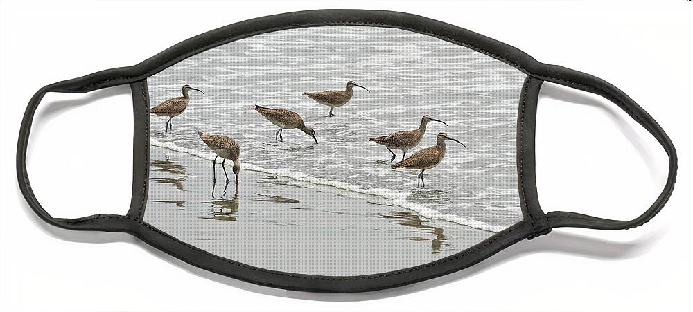 Birds Face Mask featuring the photograph Curlews at the Beach by Erik Burg