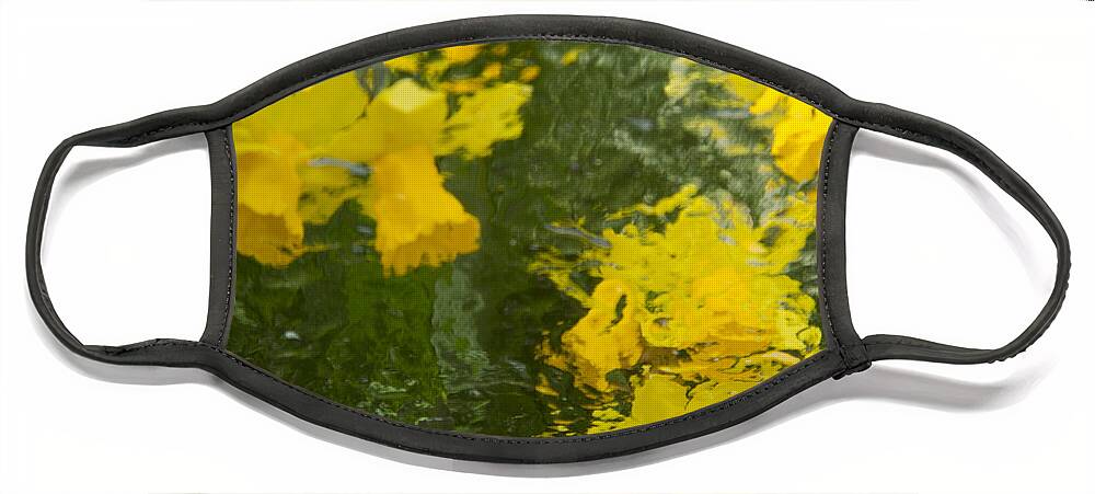 Daffodil Face Mask featuring the photograph Daffodil Impressions by Jeanette French