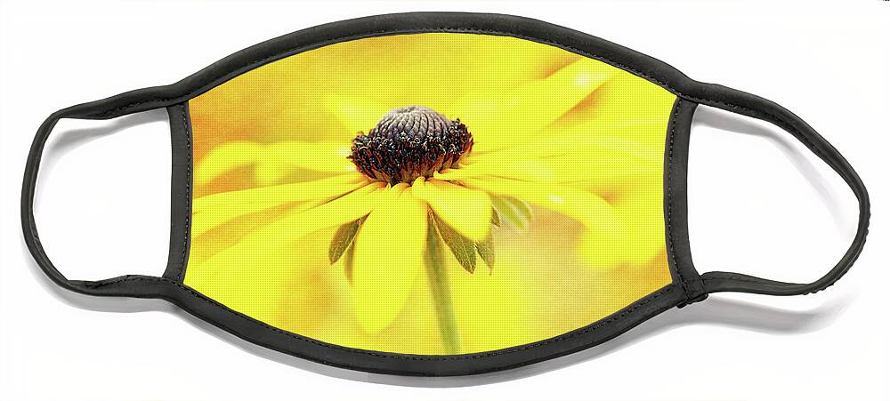 Black-eyed Susan Face Mask featuring the photograph Dance of Joy by Anita Pollak