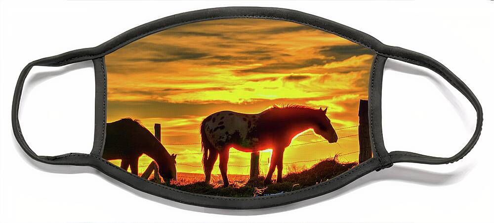 Dawn Face Mask featuring the photograph Dawn Horses by Fiskr Larsen