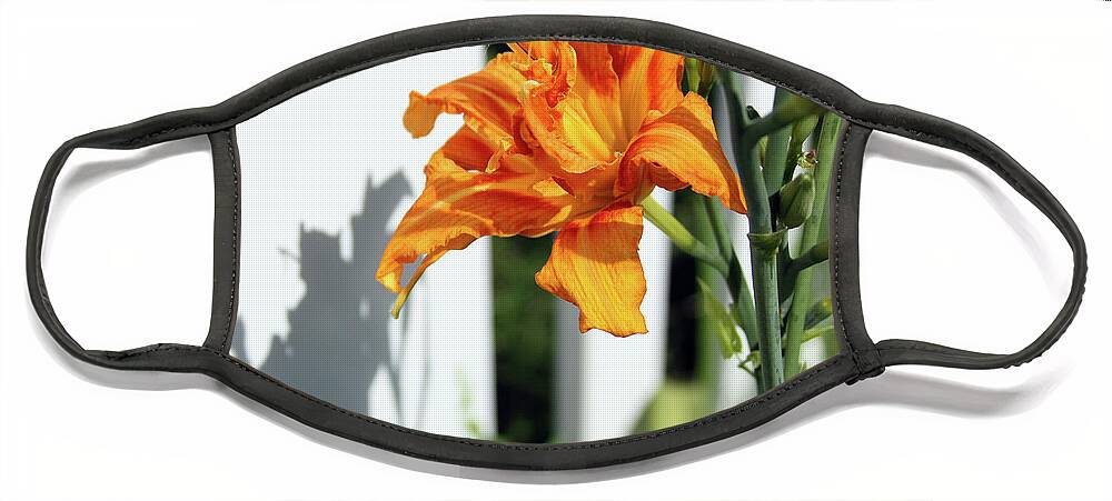 Day Lily Face Mask featuring the photograph Day Lily in Backyard by John Lautermilch