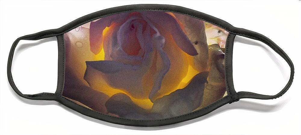 Rose Face Mask featuring the photograph Daybreak by Denise Railey