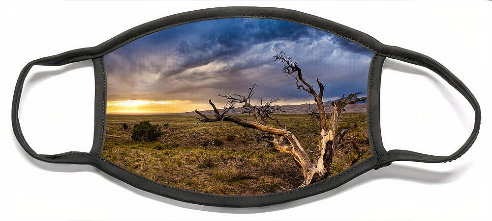 Dead Tree Face Mask featuring the photograph Dead Tree on the High Desert by Rikk Flohr