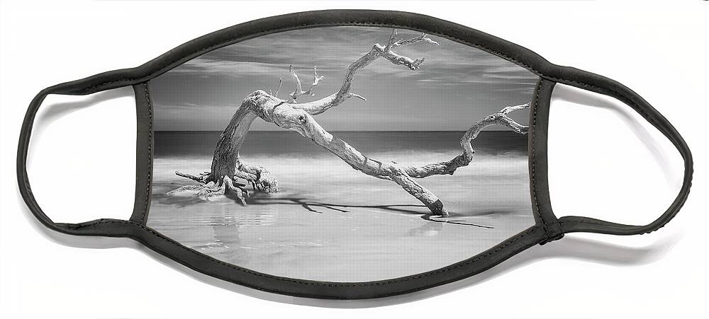 Jekyll Island Face Mask featuring the photograph Death of a Tree by Jon Glaser