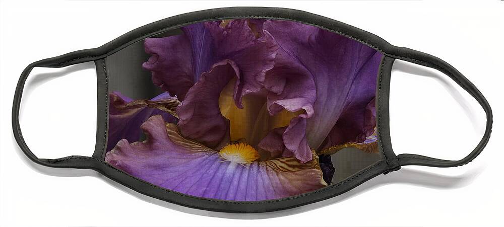 Botanical Face Mask featuring the photograph Look Into My Iris by Richard Thomas