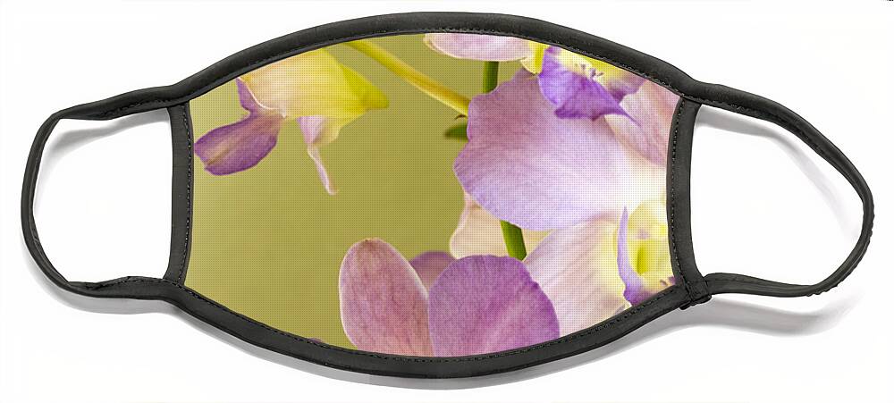 Floral Face Mask featuring the photograph Delicate by Jade Moon 