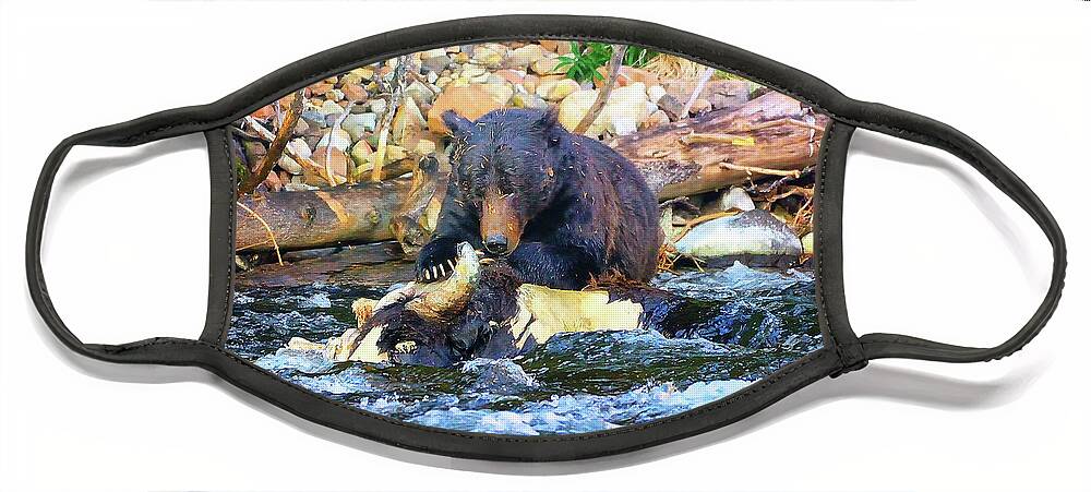 Grizzly Face Mask featuring the photograph Dinner Time by Greg Norrell