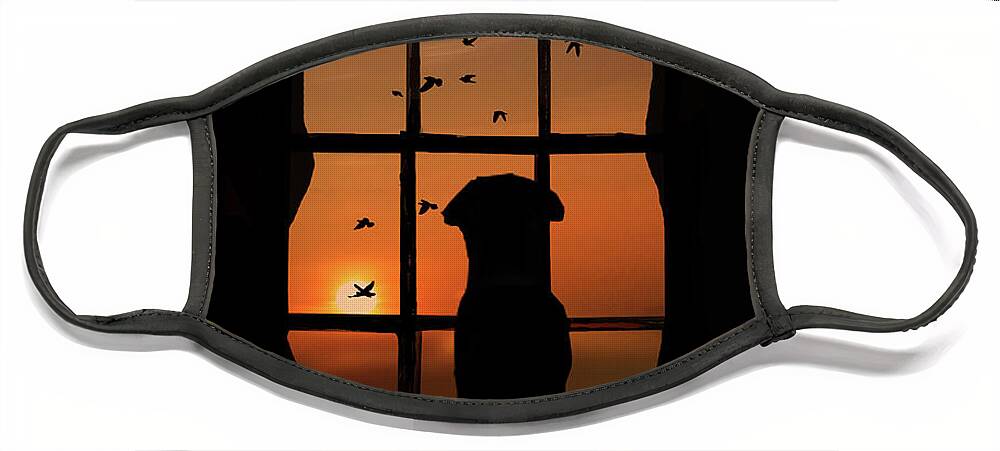 Cute Dog Face Mask featuring the photograph Dog in Window with Birds in Sunset by Stephanie Laird