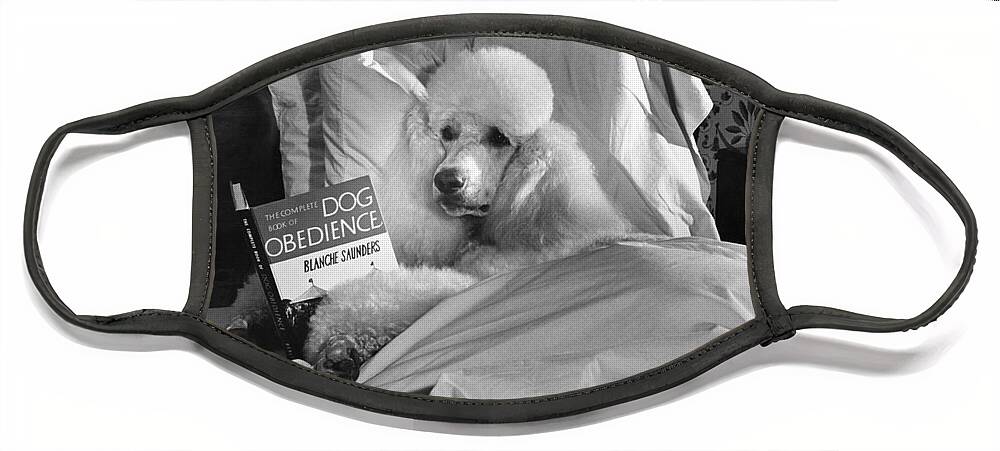 Animal Face Mask featuring the photograph Dog Reading in Bed by M E Browning and Photo Researchers