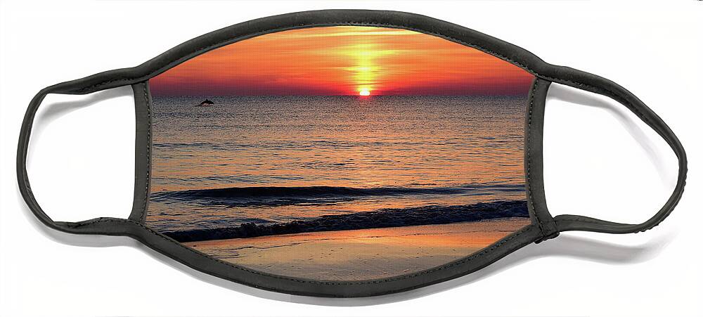 Dolphin Face Mask featuring the photograph Dolphin Jumping in the Sunrise by Nicole Lloyd