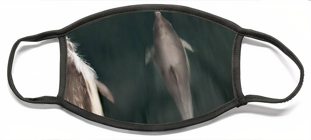 Dolphins Face Mask featuring the photograph Dolphins by Misty Tienken