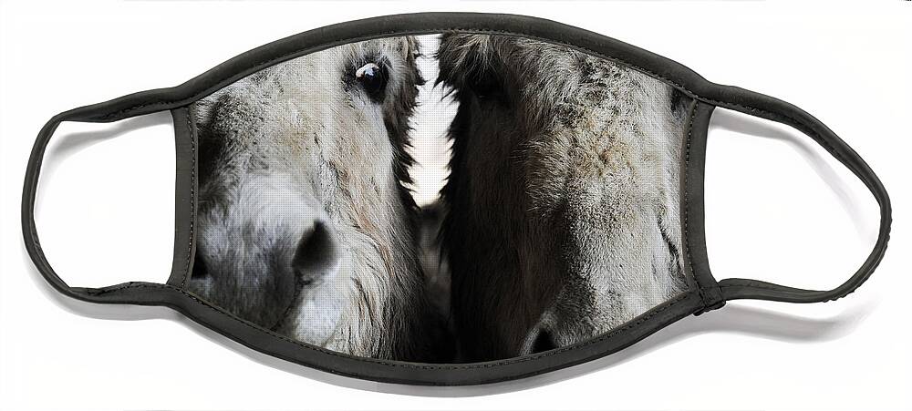 Donkeys Face Mask featuring the photograph Donkeys #1110 by Carien Schippers