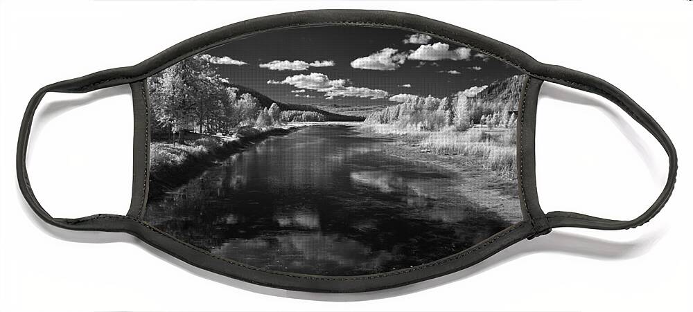 B&w Face Mask featuring the photograph Dover Slough 2 by Lee Santa