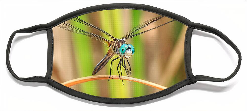 Dragonfly Face Mask featuring the photograph Dragonfly by Everet Regal