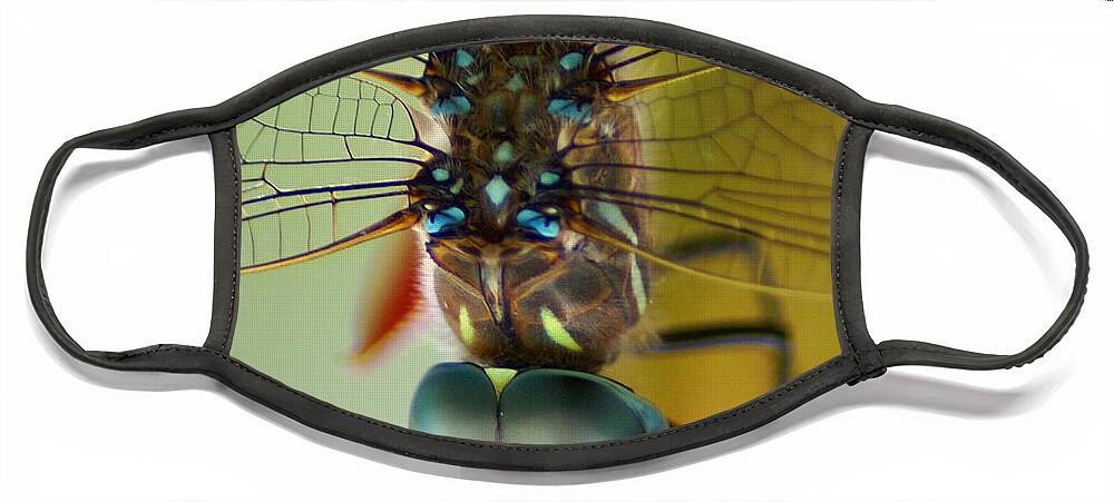 Dragonfly Face Mask featuring the photograph Dragonfly in Thought by Ben Upham III